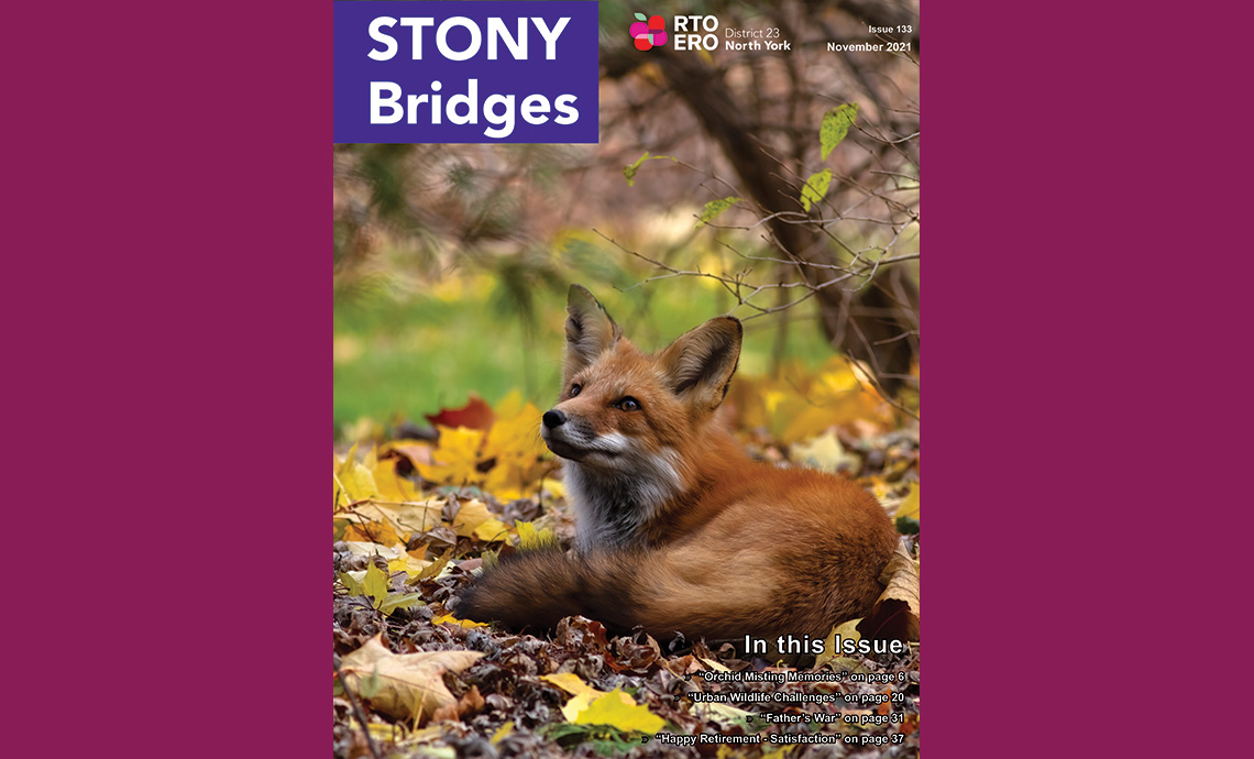 Read November 2021 issue of Stony Bridges