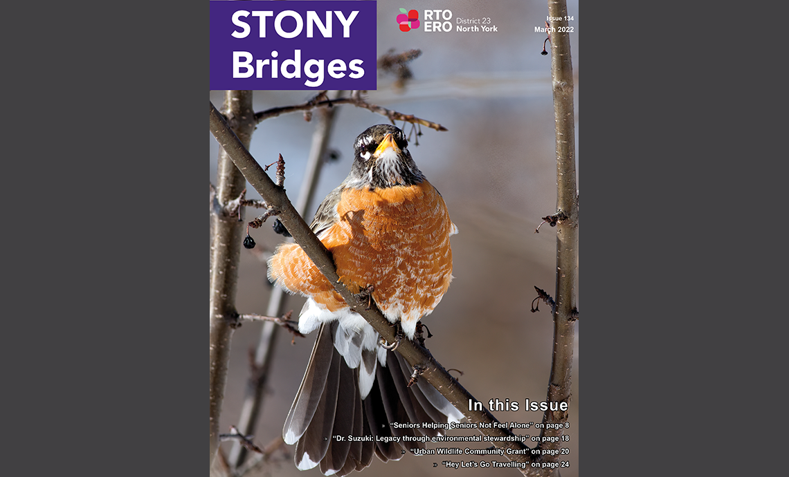 Read March 2022 issue of STONY Bridges